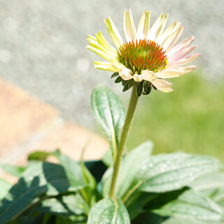 良いご縁がありました♪