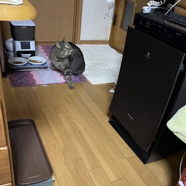 初めまして オヅノくん いっしょに遊ぼうぜ ٩( 'ω' )و