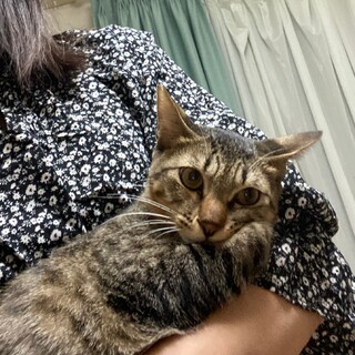 お茶目で可愛い♡レパード君！