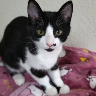 いちばん食いしん坊cuteな女子❤️まろ