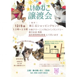 いぬねこ譲渡会