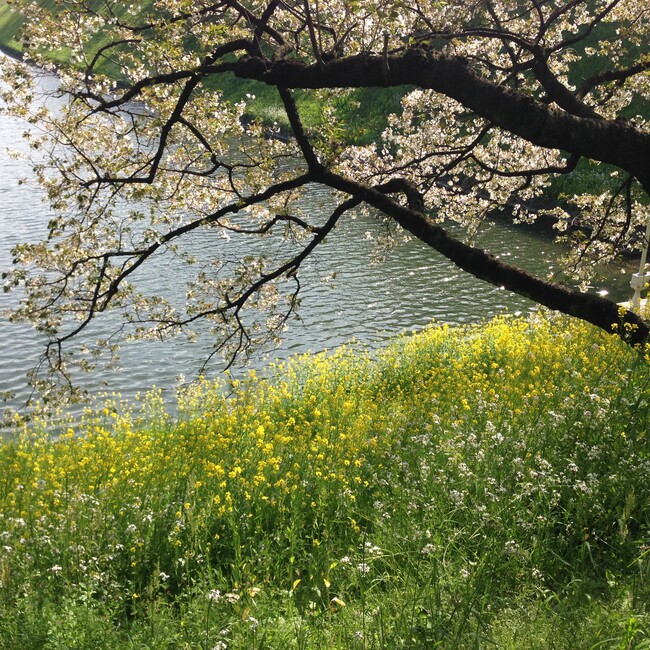 All you need is loveのカバー写真