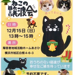保護ねこ譲渡会in横浜市旭区 サムネイル1