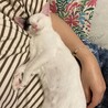 抱っこが大好きな子です