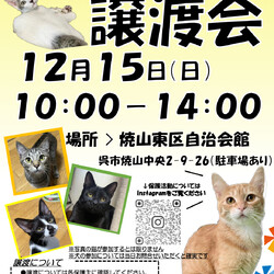 保護犬猫譲渡会