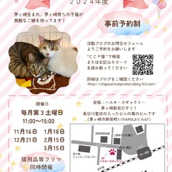 第１４６回　保護猫たちの幸せ探し会