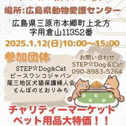 犬猫譲渡会