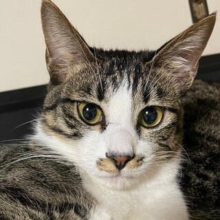 ハンデも気にしない元気な男の子