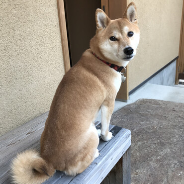の写真