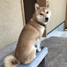 の写真