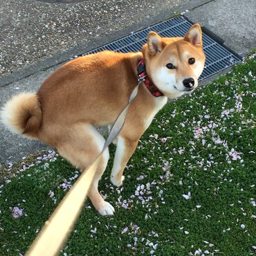 の写真
