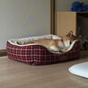 の写真