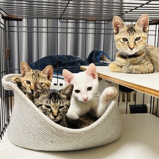 【1/26芝浦】日向ぼっこに追いかけっこ元気兄弟