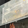 朱文金とコメット掛け合わせ サムネイル5