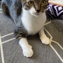 とっても優しいきなこちゃん