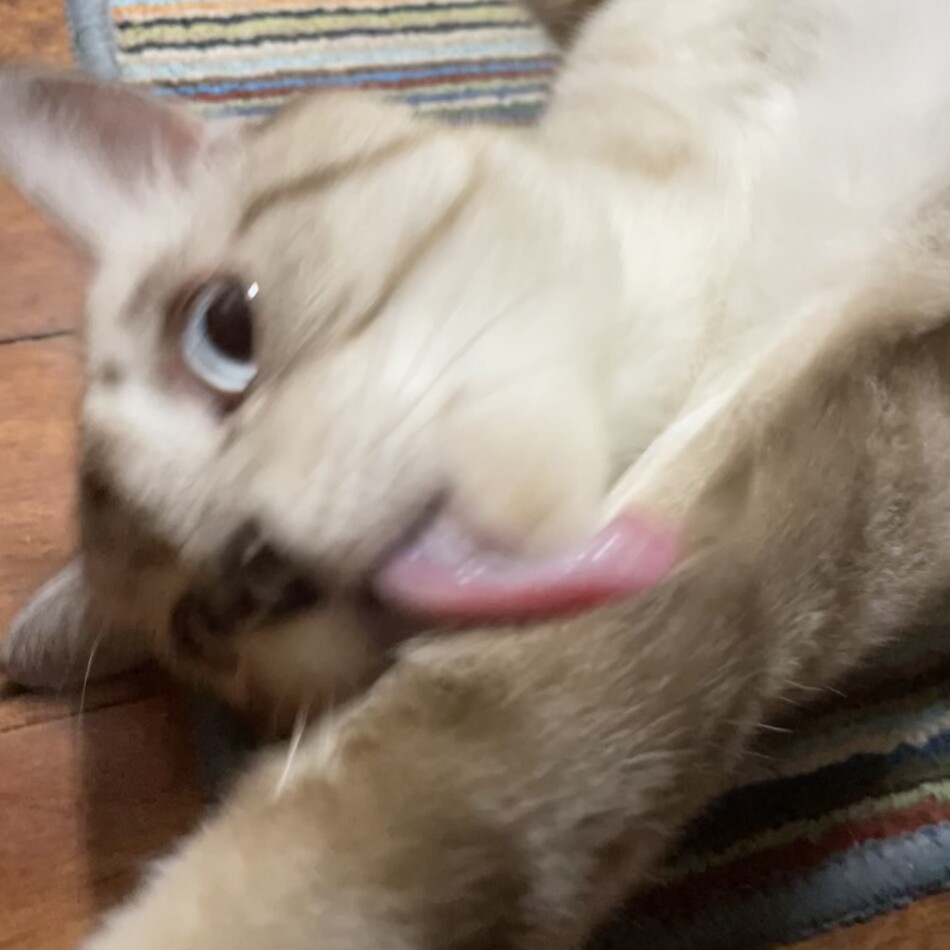 ずぅのカバー写真