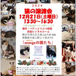 orangeの猫たちの譲渡会