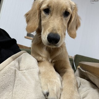 よろしくお願いいたします