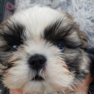 一旦、新規の方の申し込みを中止させて下さい。