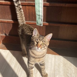 撫でられるの大好き❤️家族を待ちダリ