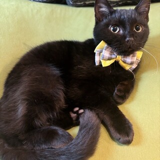 ゴロスリ♡ぴっぴ姫ちゃん