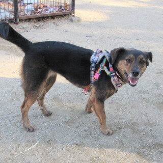 初日は超緊張。翌日は超甘えんぼ。面白可愛い女の子