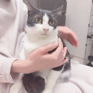 なでなで大好きなつきちゃん