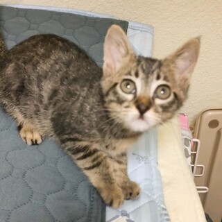 かまってと足にまとわり男子⭐️せい