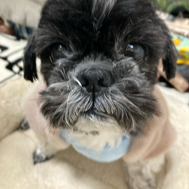 16歳で