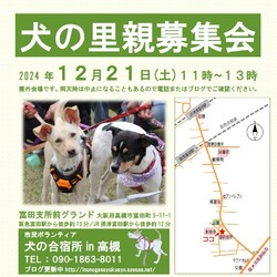 「犬の合宿所in高槻」の里親募集会
