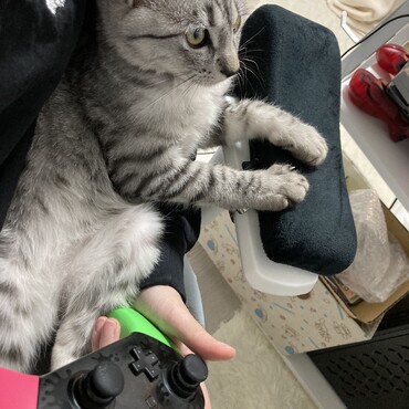 立派なゲーマー
