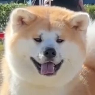 可愛がって下さる方を募集します！