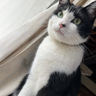 都合によりお別れすることになりました