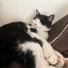 都合によりお別れすることになりました