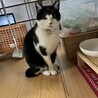 都合によりお別れすることになりました サムネイル4