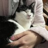 都合によりお別れすることになりました