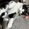 都合によりお別れすることになりました サムネイル6