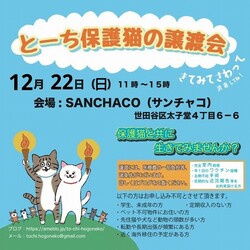 とーち保護猫の譲渡会@三軒茶屋