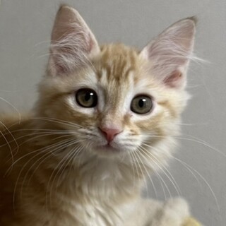 おっとりおドジが可愛い、かいくん♡