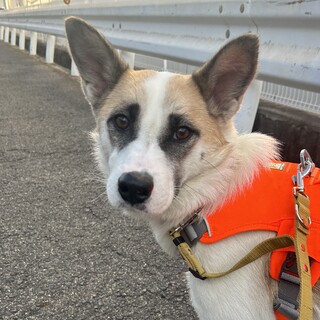 おやつが大好きな【フルール】くん