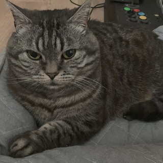 付かず離れずの距離感が好きな子です