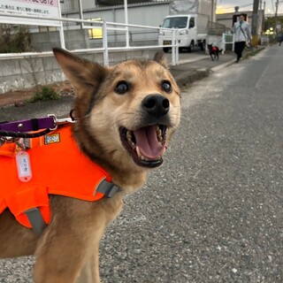 M字眉が可愛い【ミリオ】くん