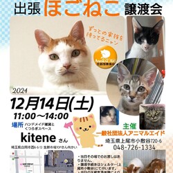 出張譲渡会＠白岡市 サムネイル1