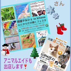 出張譲渡会＠白岡市 サムネイル2