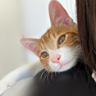 人なつこくて甘えん坊♡　竜胆（りんどう）♂