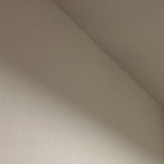 人、犬が大好き。お利口さんでぬいぐるみみたいな子