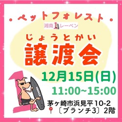 ペットフォレスト譲渡会