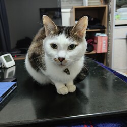 天と空　生後8ヶ月