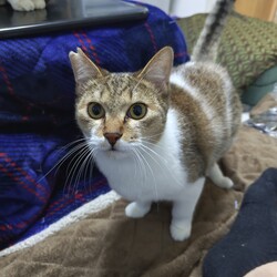 「天と空　生後8ヶ月」サムネイル3