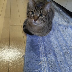 「天と空　生後8ヶ月」サムネイル2